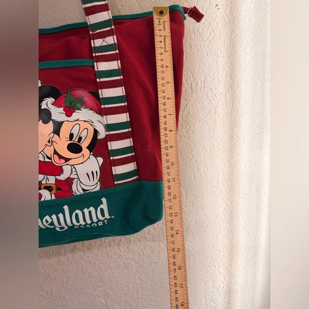 Disney disneyland christmas bag